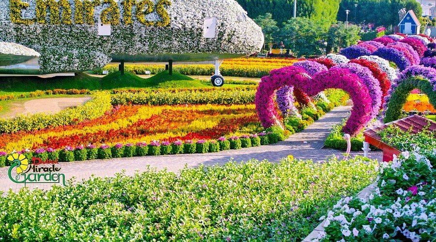 Парк цветов, Дубай  