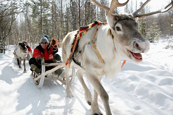 Организованный тур из Израиля в Лапландию Рованиеми, катание на оленях